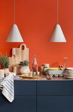 Alexa Blumentopf