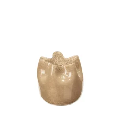 Esther Vase