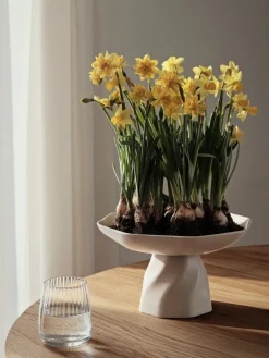 Limfjord Centrepiece