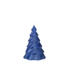 Pinus Christbaumkerze