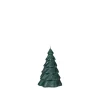 Pinus Christbaumkerze