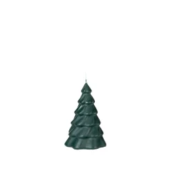 Pinus Christbaumkerze