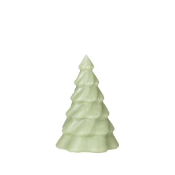 Pinus Christbaumkerze