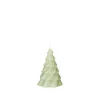 Pinus Christbaumkerze