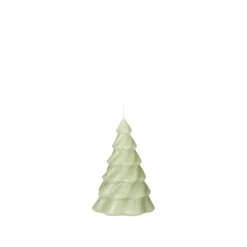 Pinus Christbaumkerze